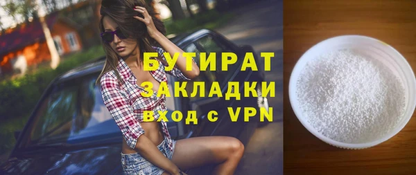 индика Вяземский