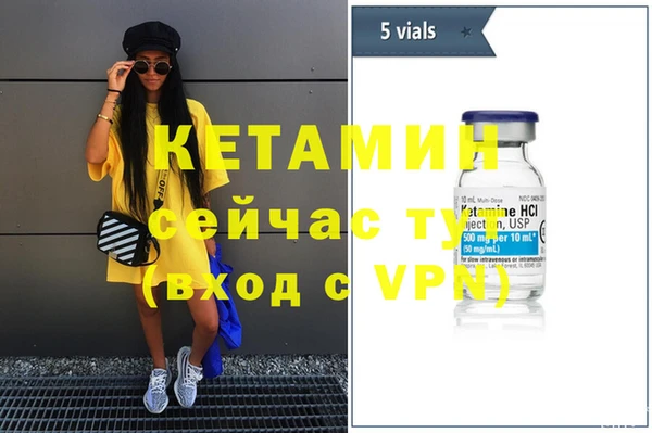 индика Вяземский