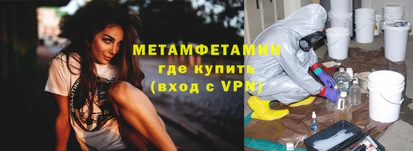 индика Вяземский