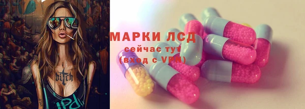тгк Бородино