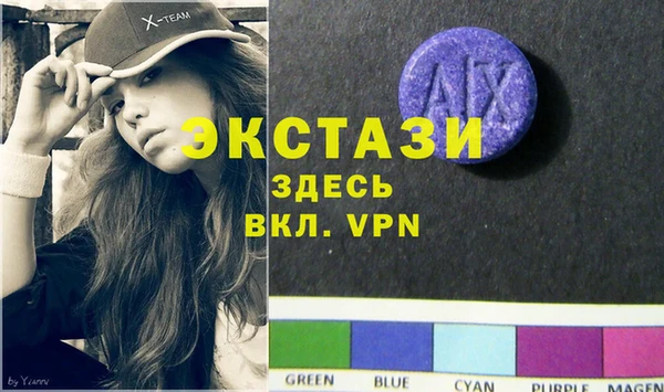 индика Вяземский