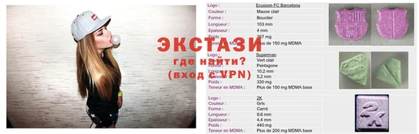 индика Вяземский