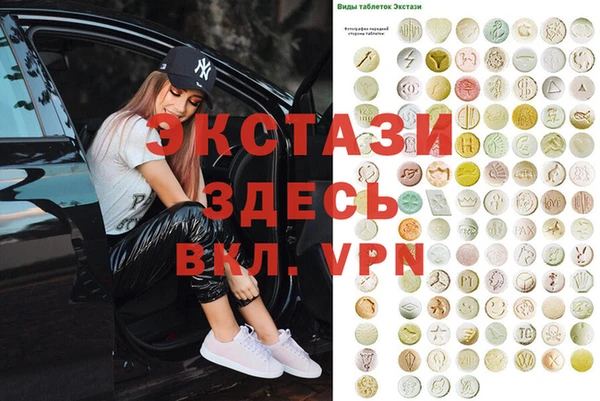 индика Вяземский