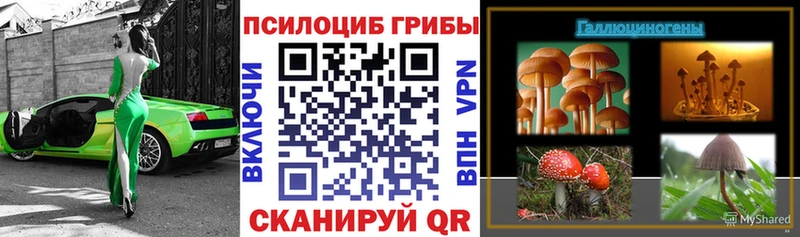 Псилоцибиновые грибы Psilocybe  что такое   Заозёрный 